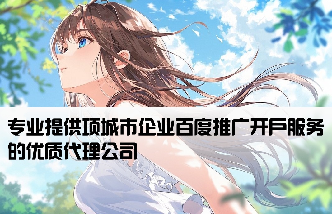 项城市百度推广开户公司