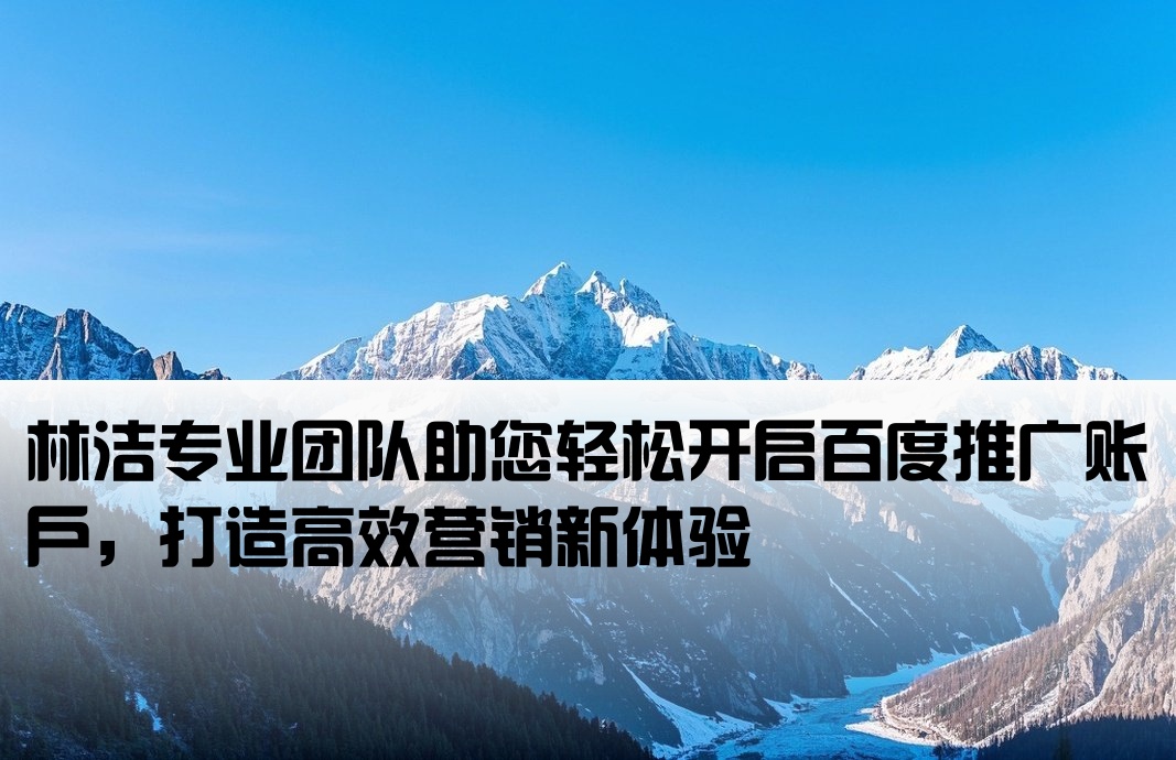 百度推广开户首荐林洁