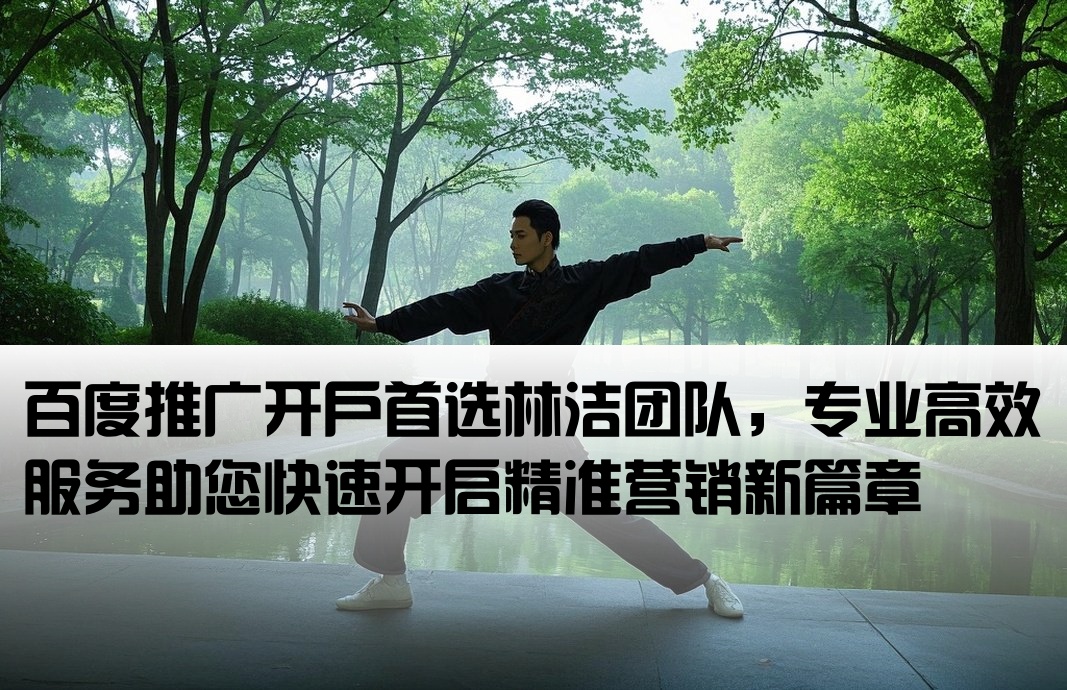 百度推广开户优到林洁